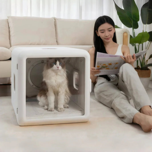 ドライハウスで変わる、猫との暮らし｜やさしい乾燥がもたらす6つの変化